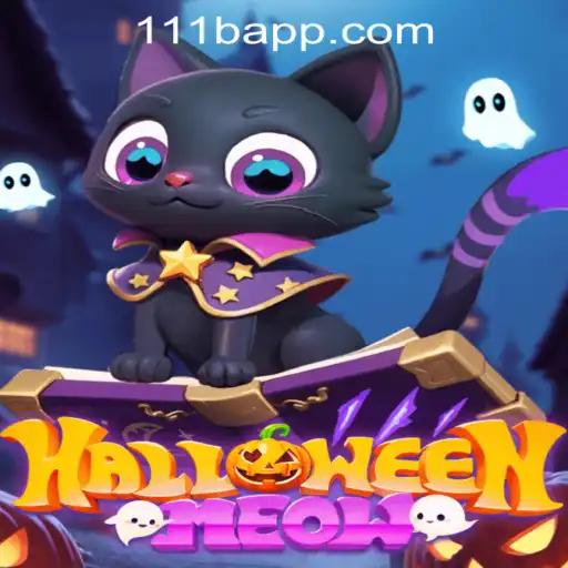 HalloweenMeow: Unveiling the Spooky Adventure